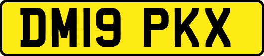 DM19PKX