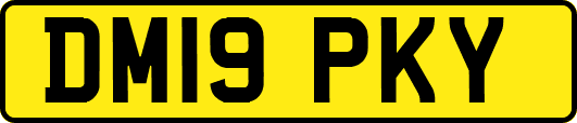 DM19PKY