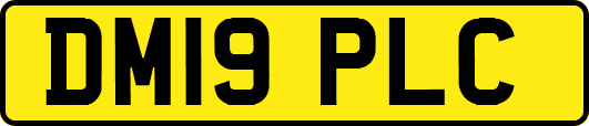 DM19PLC