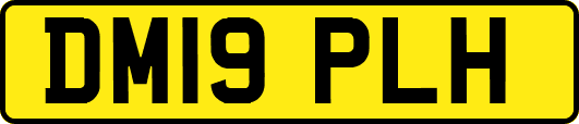 DM19PLH