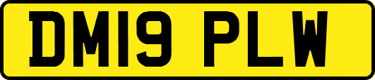 DM19PLW