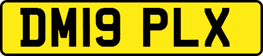 DM19PLX