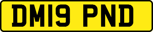 DM19PND