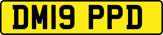 DM19PPD