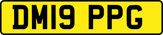 DM19PPG