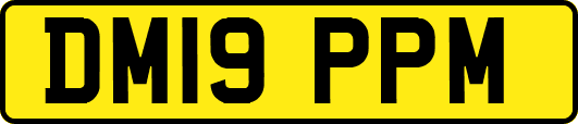 DM19PPM