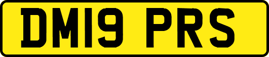 DM19PRS