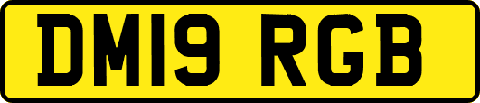 DM19RGB