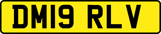 DM19RLV