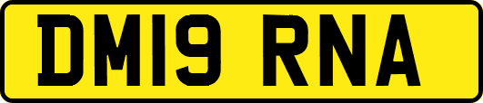 DM19RNA