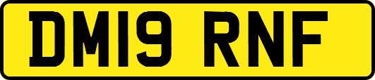 DM19RNF