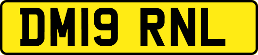 DM19RNL