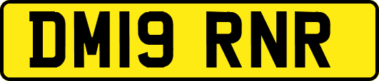 DM19RNR