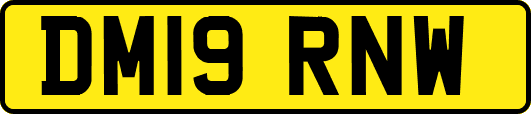 DM19RNW