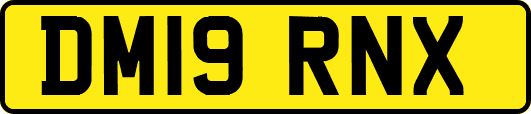 DM19RNX