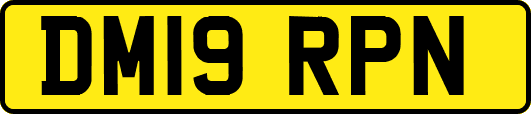 DM19RPN