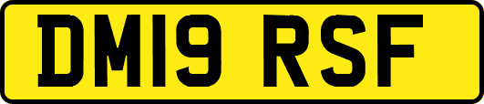 DM19RSF