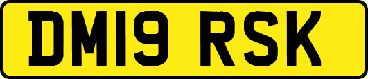 DM19RSK