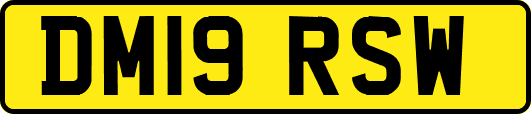 DM19RSW