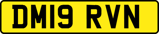 DM19RVN