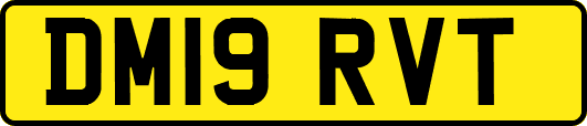 DM19RVT