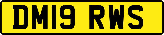 DM19RWS