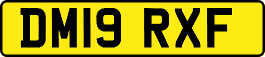 DM19RXF