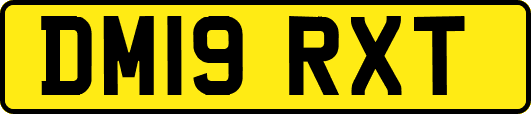 DM19RXT