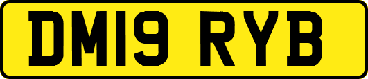 DM19RYB