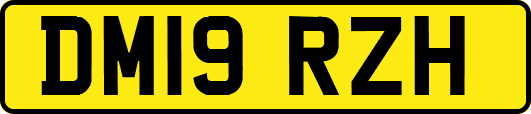 DM19RZH