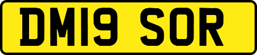 DM19SOR