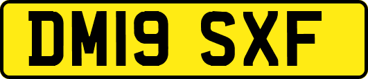 DM19SXF