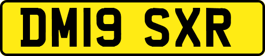 DM19SXR