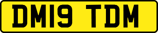 DM19TDM