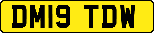 DM19TDW