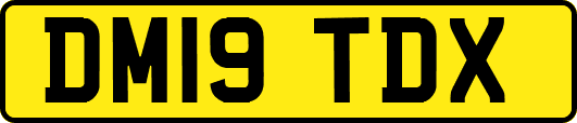 DM19TDX