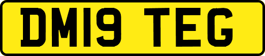 DM19TEG