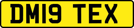 DM19TEX