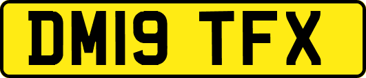 DM19TFX