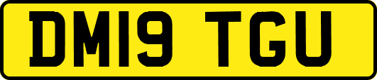 DM19TGU