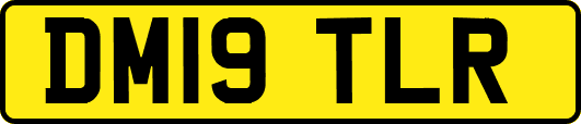 DM19TLR