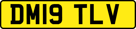 DM19TLV