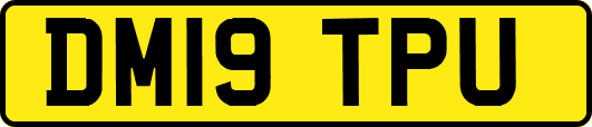 DM19TPU