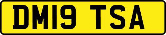 DM19TSA