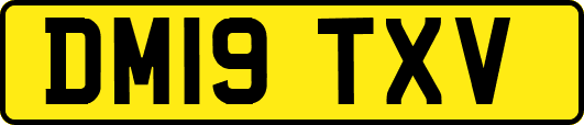 DM19TXV