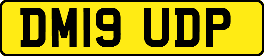 DM19UDP