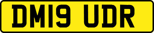 DM19UDR