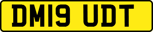 DM19UDT