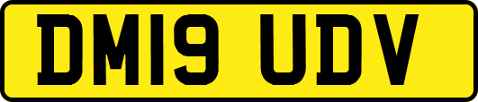 DM19UDV