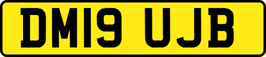 DM19UJB